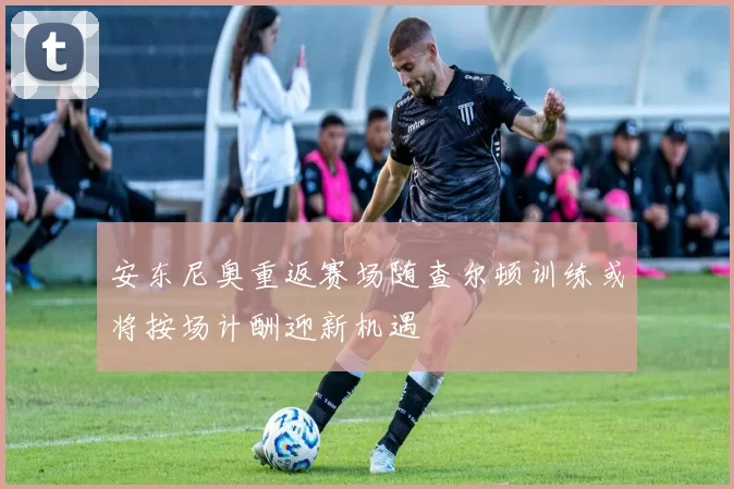 安东尼奥重返赛场随查尔顿训练或将按场计酬迎新机遇